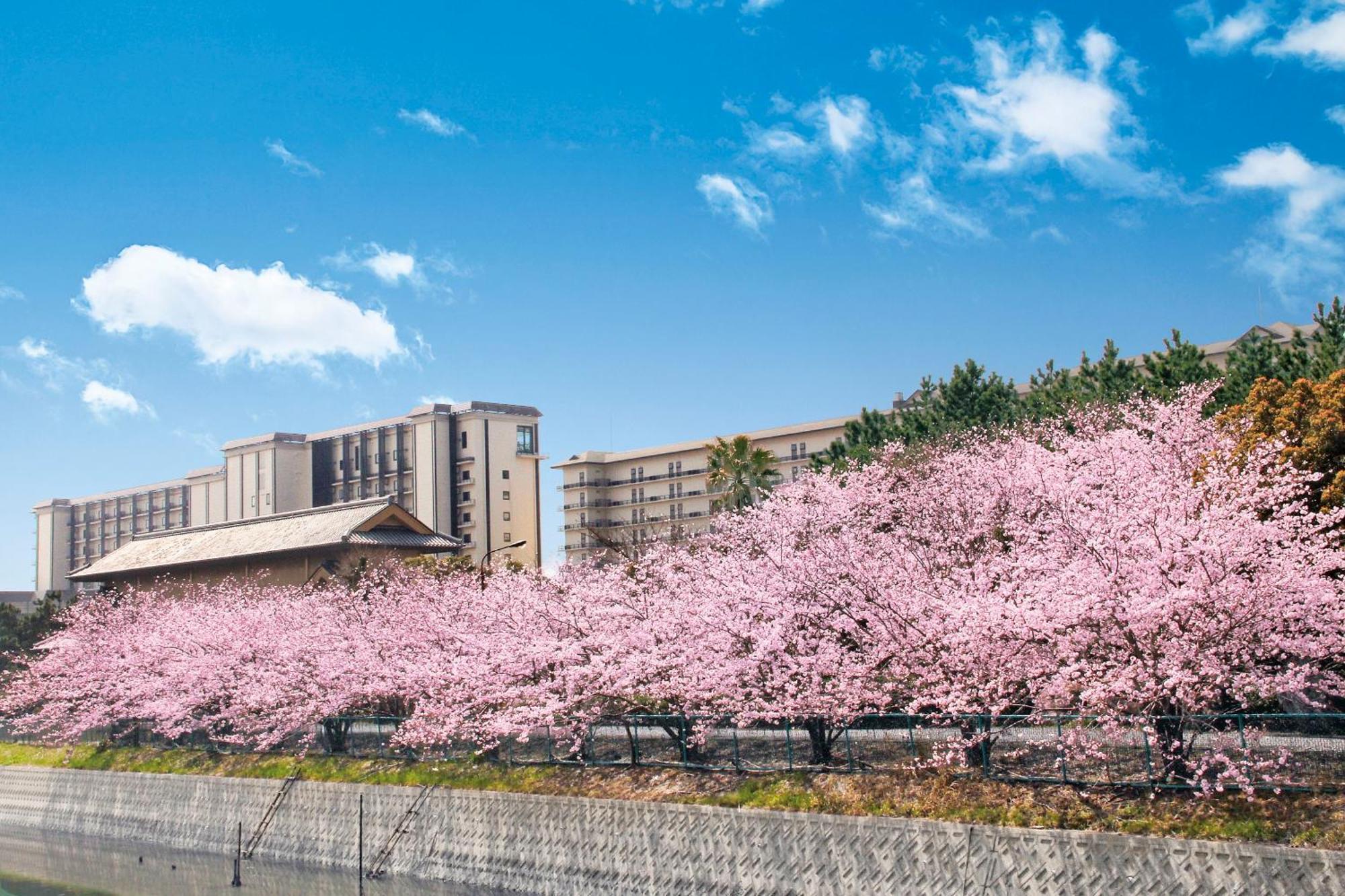 Ryugujo Spa Hotel Mikazuki Fujimitei Kisarazu Zewnętrze zdjęcie